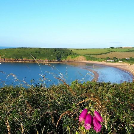 A Beach Holiday In Pembrokeshire מראה חיצוני תמונה
